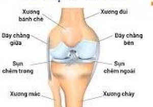 Thông báo chào giá các mặt hàng thiết bị y tế sử dụng  trong nội soi khớp gối, khớp vai năm 2025-2026 tại  Bệnh viện Đa khoa khu vực miền núi phía Bắc Quảng Nam